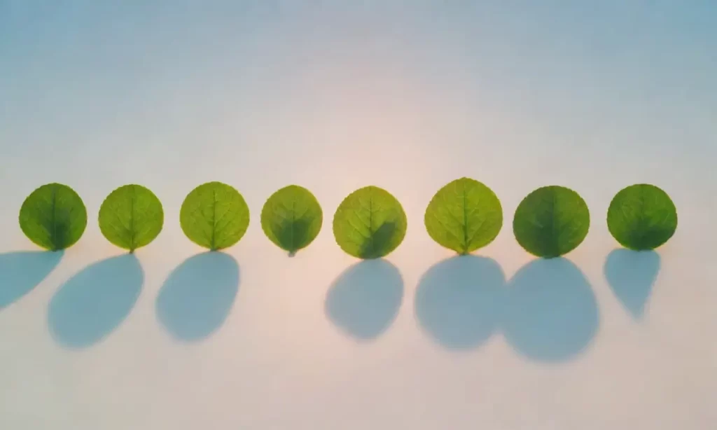 Hojas verdes se despliegan en círculos sobre un papel de colores azul cielo