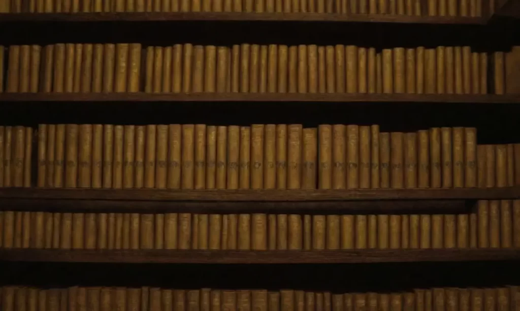 Los libros brillan en el oscuro interior de la biblioteca